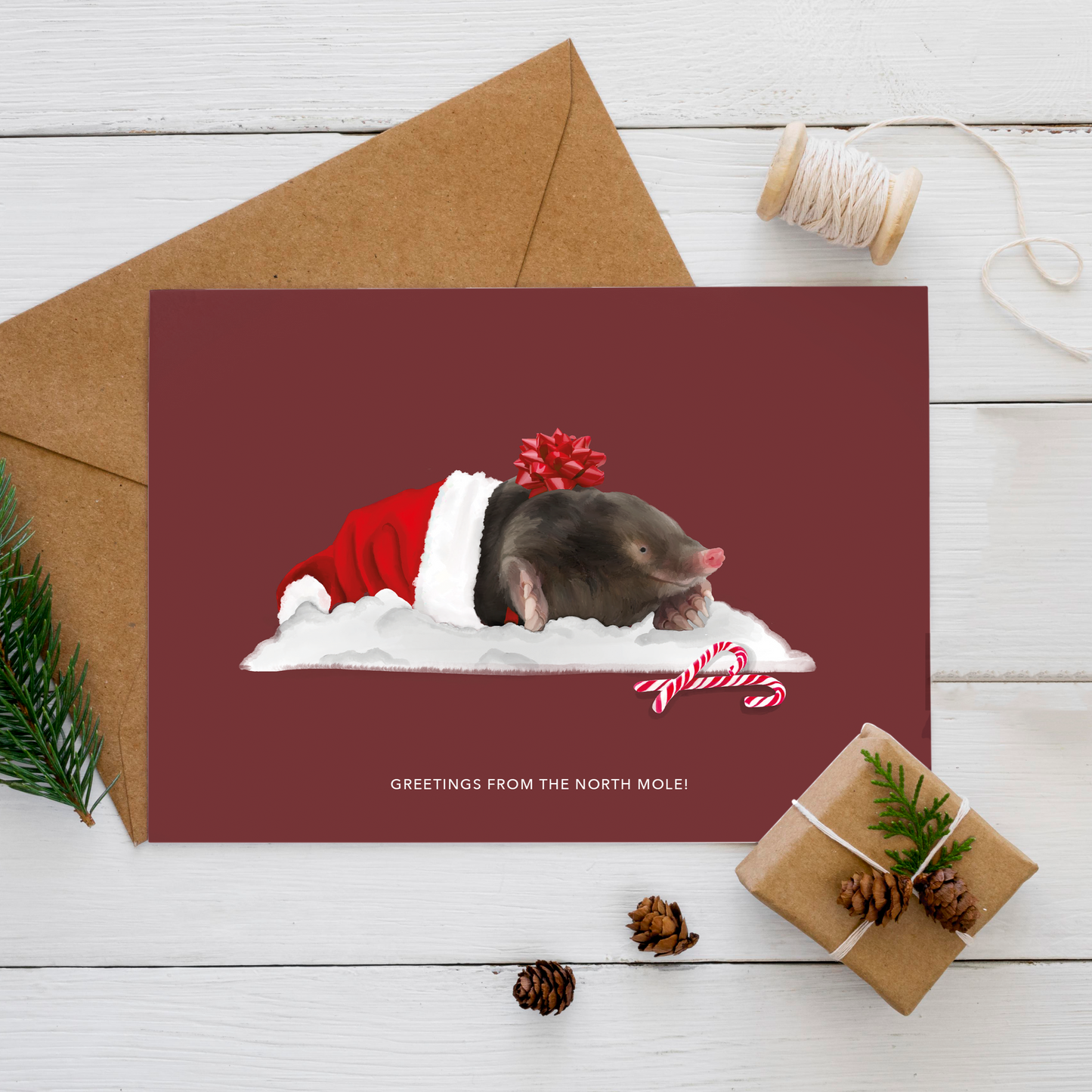 Pakje kerstkaartjes 3
