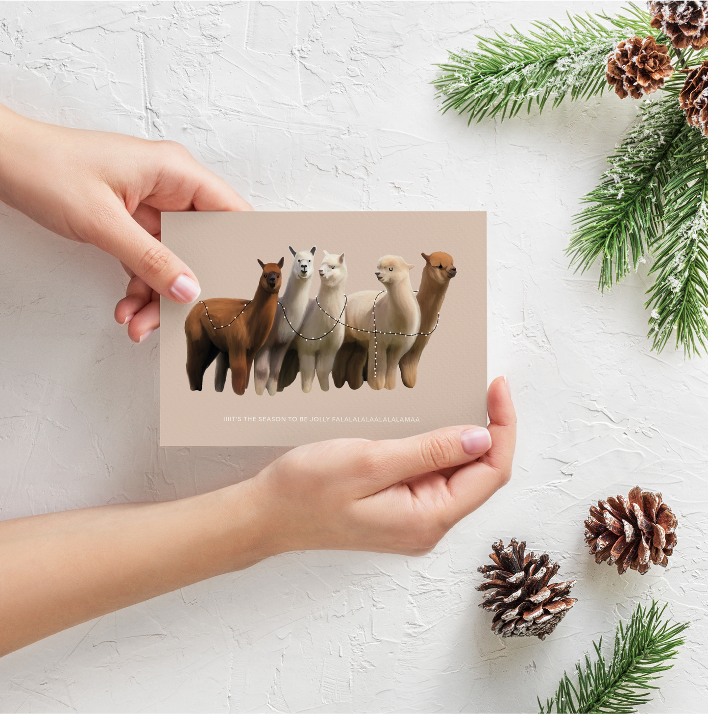 iiit's the season to be jolly, Falalalalalalalama.