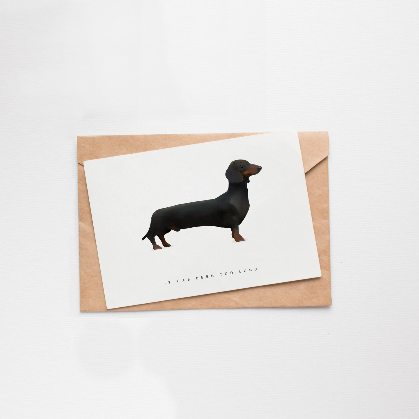 hond, dachshund, teckel
