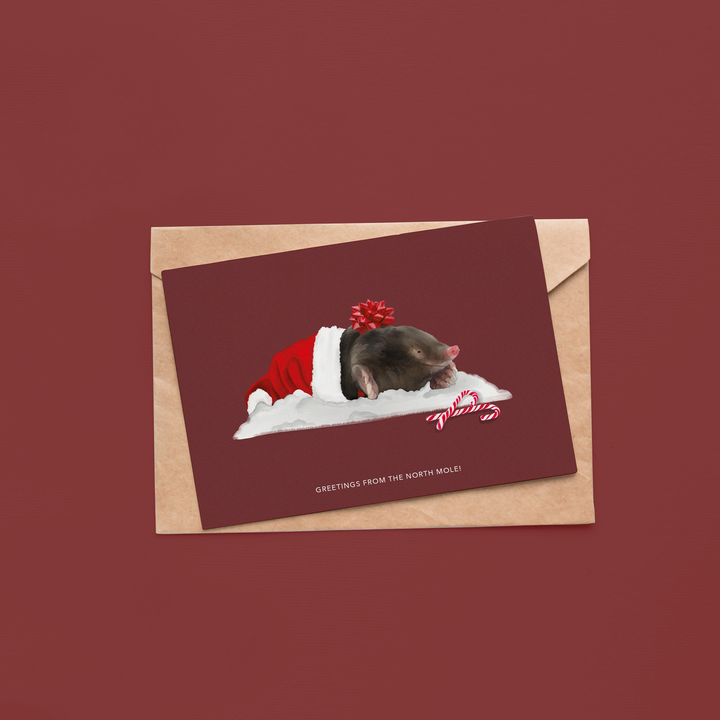 Greetings from the north mole