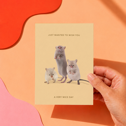 Mice Day