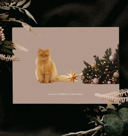 Have a purrrfect Christmas