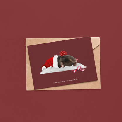 Kerstkaarten Odd squad